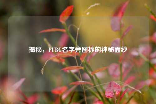 揭秘，PUBG名字旁图标的神秘面纱