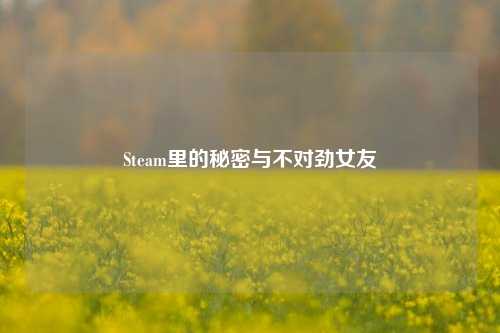 Steam里的秘密与不对劲女友