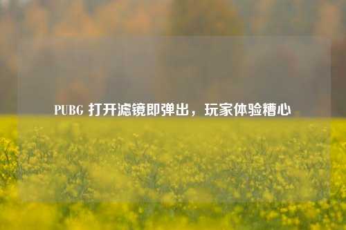 PUBG 打开滤镜即弹出,玩家体验糟心