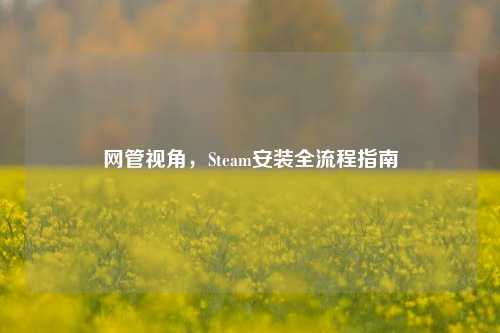 网管视角，Steam安装全流程指南