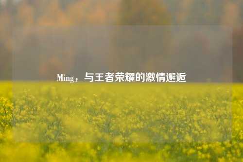 Ming，与王者荣耀的激情邂逅