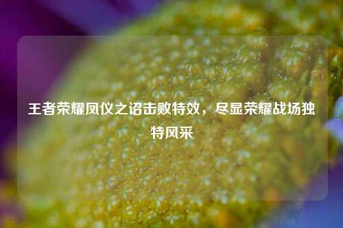 王者荣耀凤仪之诏击败特效，尽显荣耀战场独特风采