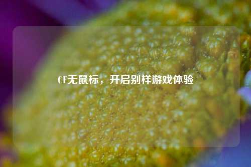 CF无鼠标，开启别样游戏体验