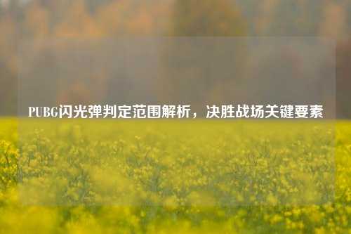 PUBG闪光弹判定范围解析,决胜战场关键要素