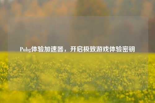 Pubg体验加速器，开启极致游戏体验密钥