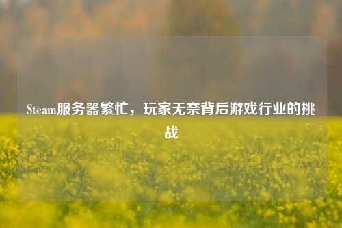 Steam服务器繁忙，玩家无奈背后游戏行业的挑战