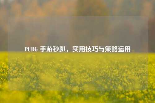 PUBG 手游秒趴，实用技巧与策略运用