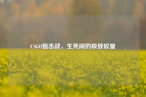CSGO狙击战，生死间的极致较量