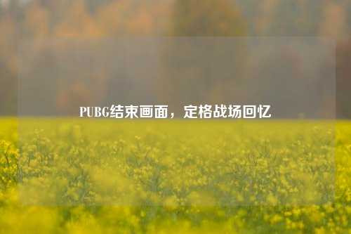 PUBG结束画面，定格战场回忆