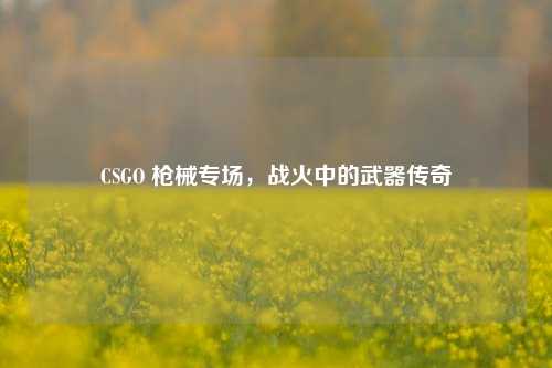CSGO 枪械专场，战火中的武器传奇