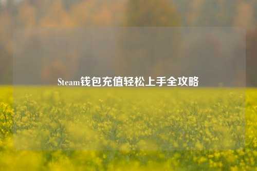 Steam钱包充值轻松上手全攻略