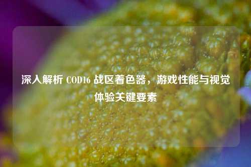 深入解析 COD16 战区着色器，游戏性能与视觉体验关键要素