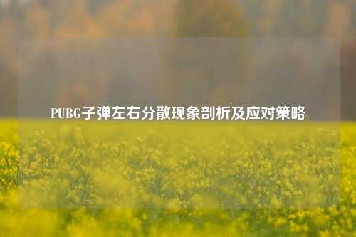 PUBG子弹左右分散现象剖析及应对策略