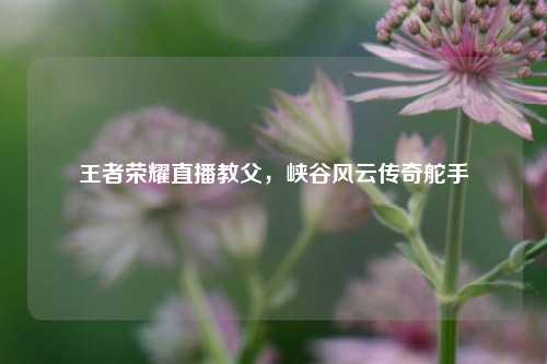 王者荣耀直播教父，峡谷风云传奇舵手