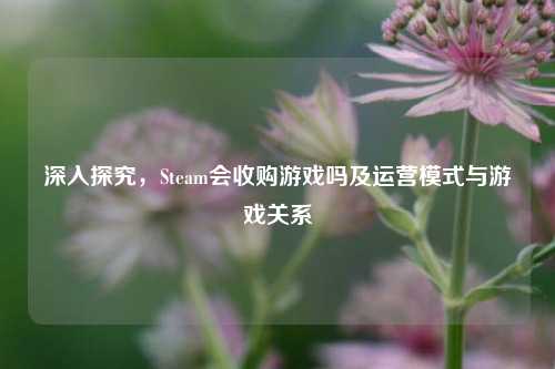 深入探究，Steam会收购游戏吗及运营模式与游戏关系