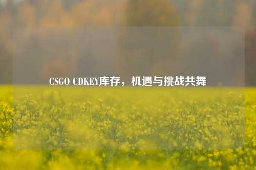 CSGO CDKEY库存，机遇与挑战共舞