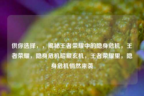 供你选择，，揭秘王者荣耀中的隐身危机，王者荣耀，隐身危机暗藏玄机，王者荣耀里，隐身危机悄然来袭