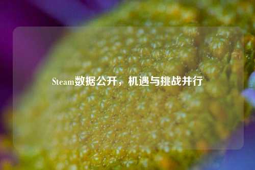 Steam数据公开，机遇与挑战并行