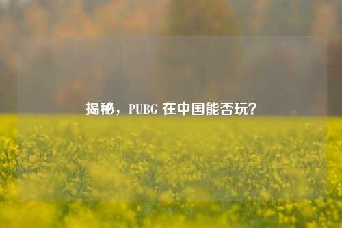 揭秘，PUBG 在中国能否玩？