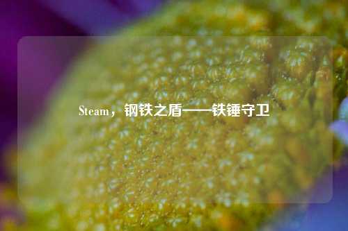 Steam，钢铁之盾——铁锤守卫