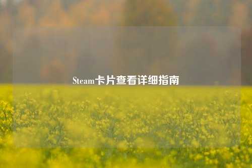 Steam卡片查看详细指南