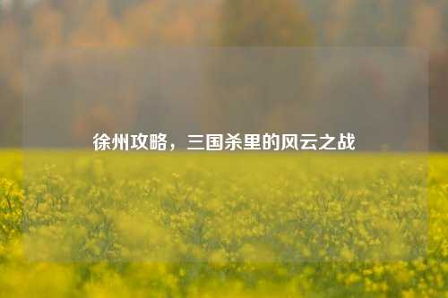 徐州攻略，三国杀里的风云之战