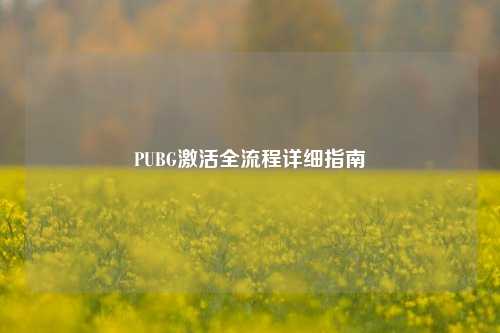 PUBG激活全流程详细指南