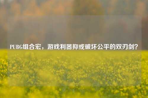 PUBG组合宏，游戏利器抑或破坏公平的双刃剑？