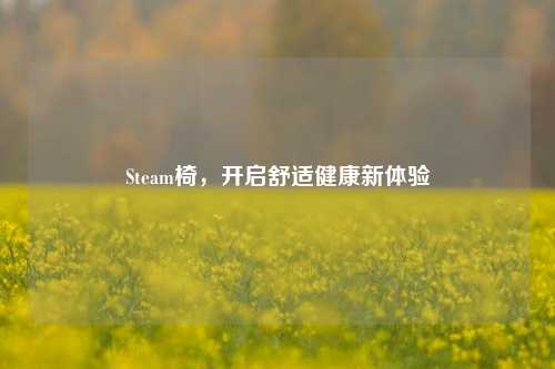 Steam椅，开启舒适健康新体验