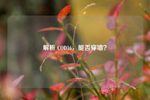解析 COD16，能否穿墙？