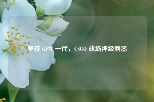 罗技 GPW 一代，CSGO 战场神级利器