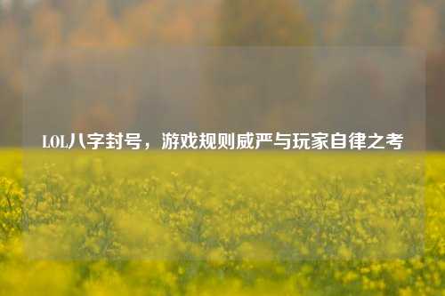 LOL八字封号，游戏规则威严与玩家自律之考