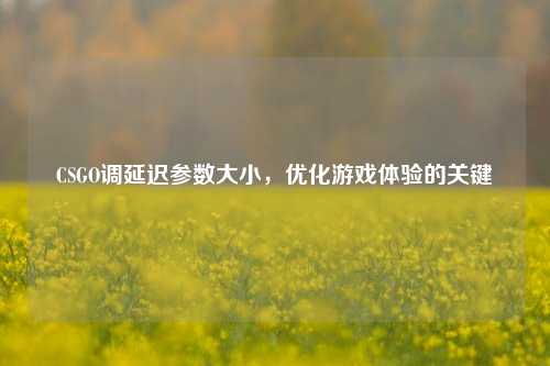 CSGO调延迟参数大小，优化游戏体验的关键