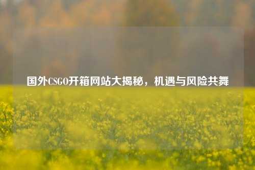 国外CSGO开箱网站大揭秘，机遇与风险共舞