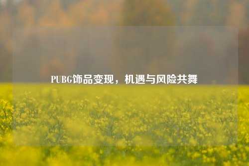 PUBG饰品变现，机遇与风险共舞