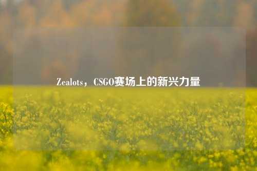 Zealots，CSGO赛场上的新兴力量