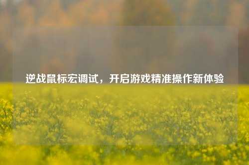 逆战鼠标宏调试，开启游戏精准操作新体验