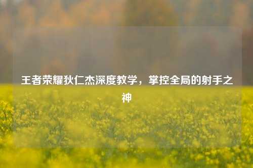 王者荣耀狄仁杰深度教学，掌控全局的射手之神