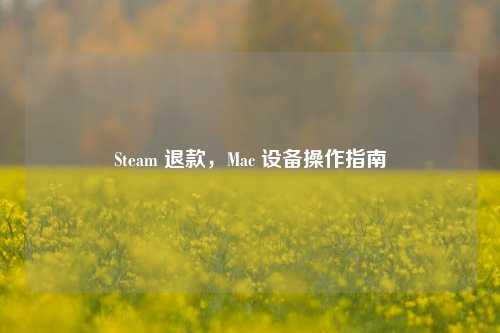 Steam 退款，Mac 设备操作指南