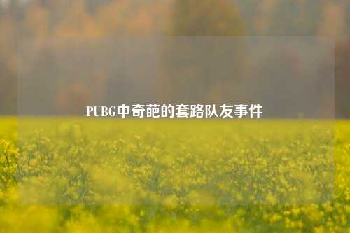 PUBG中奇葩的套路队友事件