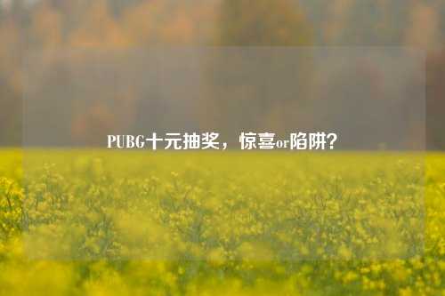 PUBG十元抽奖，惊喜or陷阱？