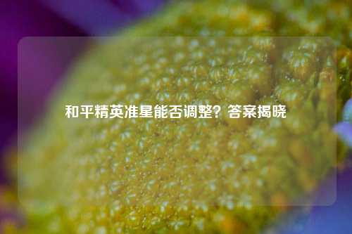和平精英准星能否调整？答案揭晓