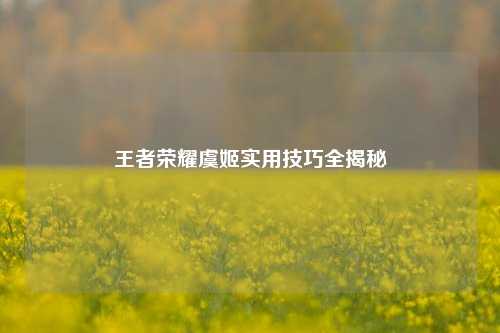 王者荣耀虞姬实用技巧全揭秘