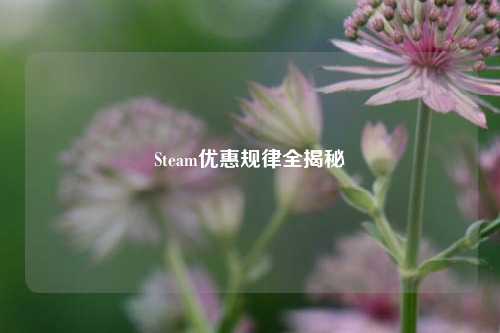 Steam优惠规律全揭秘