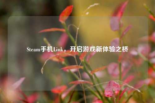 Steam手机Link,开启游戏新体验之桥