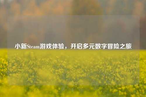 小新Steam游戏体验，开启多元数字冒险之旅