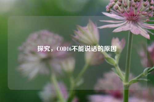 探究，COD16不能说话的原因