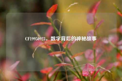 CF19950923，数字背后的神秘故事