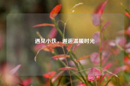 遇见小佚,邂逅温暖时光