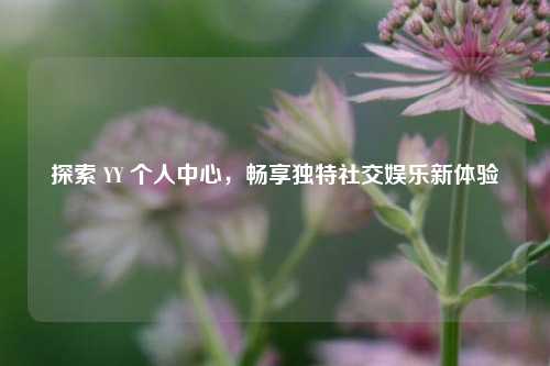 探索 YY 个人中心，畅享独特社交娱乐新体验